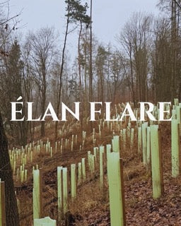 @ElanFlare